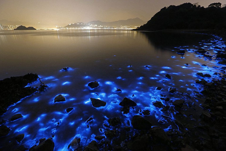 Синее свечение вод в порту Гонконга